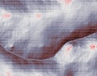 fisch bilder