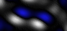 fisch bilder