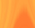 fisch lachs fisch franke