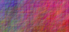 zander neon fisch
