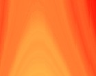 fisch