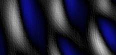 fisch bild